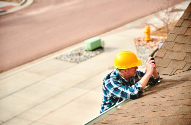 Best Roof Gutter Cleaning  in Honokaa, HI