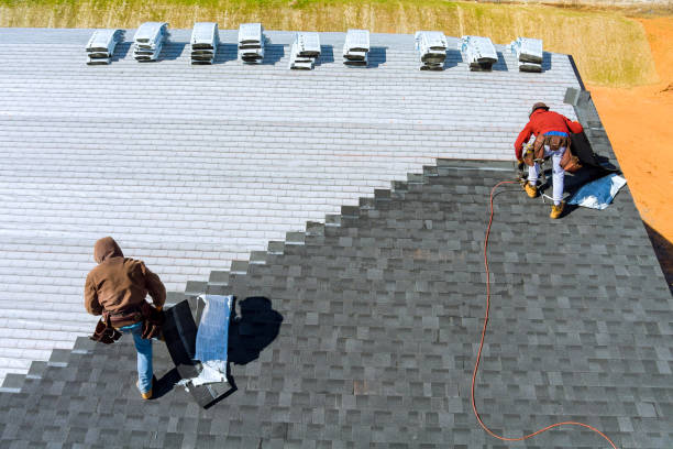 Best Storm Damage Roof Repair  in Honokaa, HI