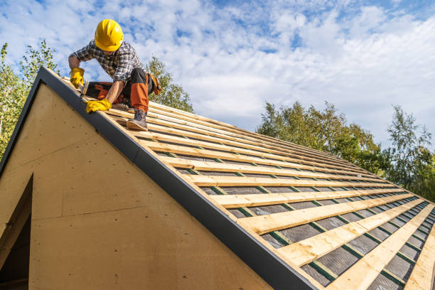 Best New Roof Installation  in Honokaa, HI