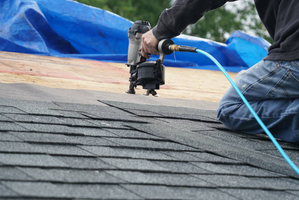 Best Storm Damage Roof Repair  in Honokaa, HI