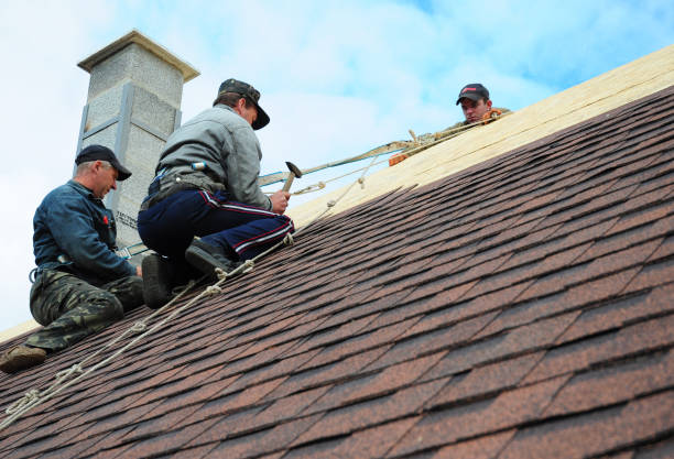 Best Roof Waterproofing Services  in Honokaa, HI