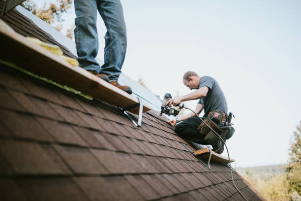 Best Roof Repair Services  in Honokaa, HI